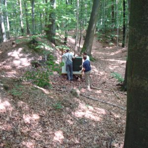 Aufbau